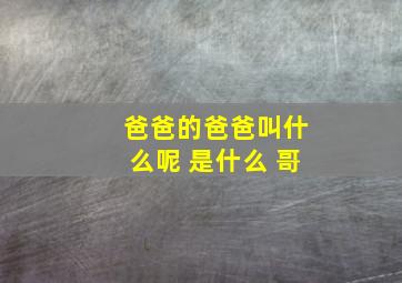 爸爸的爸爸叫什么呢 是什么 哥